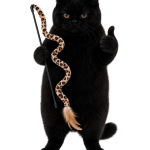Purrcival cat with his sweet stick