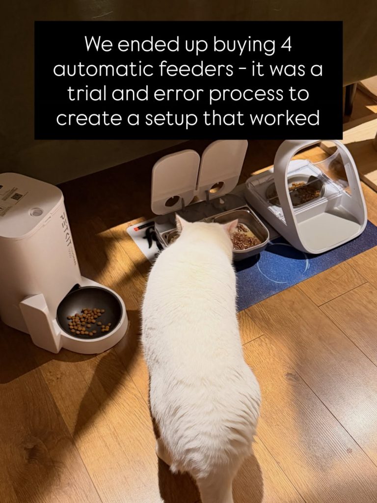 A white British Shorthair cat eating from a dual-bowl automatic pet feeder on a wooden floor. The feeding station also includes a tall white PetKit automatic feeder on the left and a white SureFeed microchip RFID pet feeder on the right. A black text block overlay reads: "We ended up buying 4 automatic feeders - it was a trial and error process to create a setup that worked".