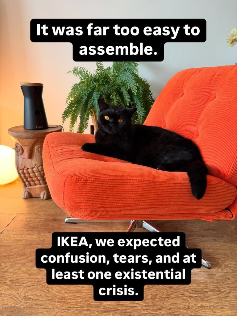 A black British Shorthair cat lounging comfortably on a bright orange swivel chair from IKEA, next to a house plant and a wooden side table.