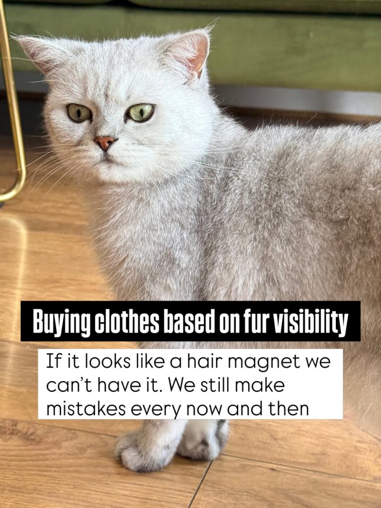 A side-profile close-up of a silver-shaded British Shorthair cat standing on a wooden floor. A black text block overlay reads: "Buying clothes based on fur visibility If it looks like a hair magnet we can’t have it. We still make mistakes every now and then".