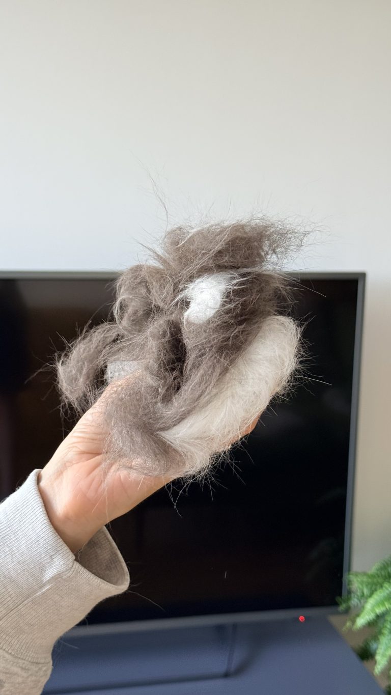 A large, fluffy handful of shed grey and white cat fur held in a hand.
