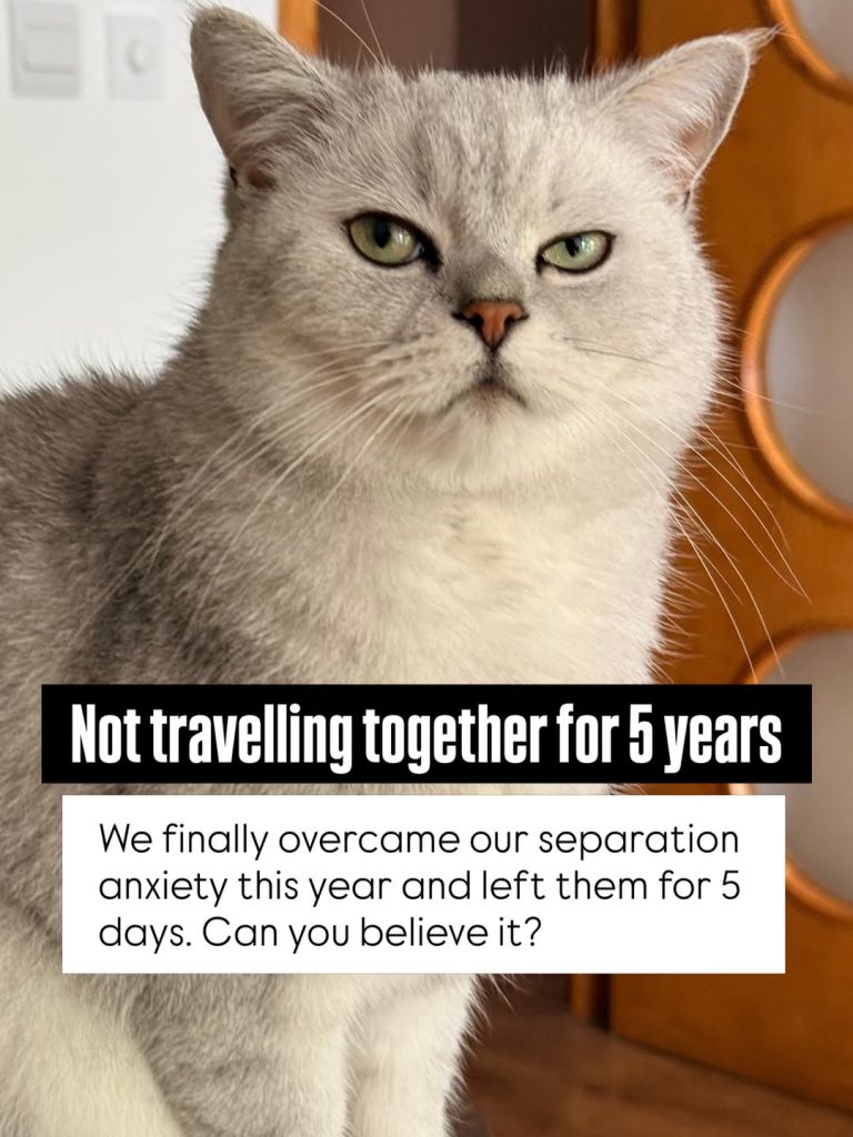 A close-up of a silver-shaded British Shorthair cat looking directly forward with a serious expression. A black text block overlay reads: "Not travelling together for 5 years We finally overcame our separation anxiety this year and left them for 5 days. Can you believe it?".