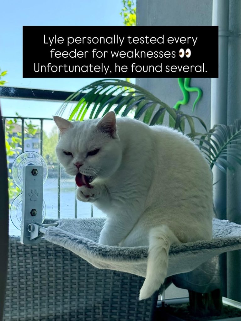 A white British Shorthair cat sitting on a plush gray window-mounted cat hammock outdoors on a sunny day, grooming his front paw. A black text block overlay reads: "Lyle personally tested every feeder for weaknesses 👀 Unfortunately, he found several."