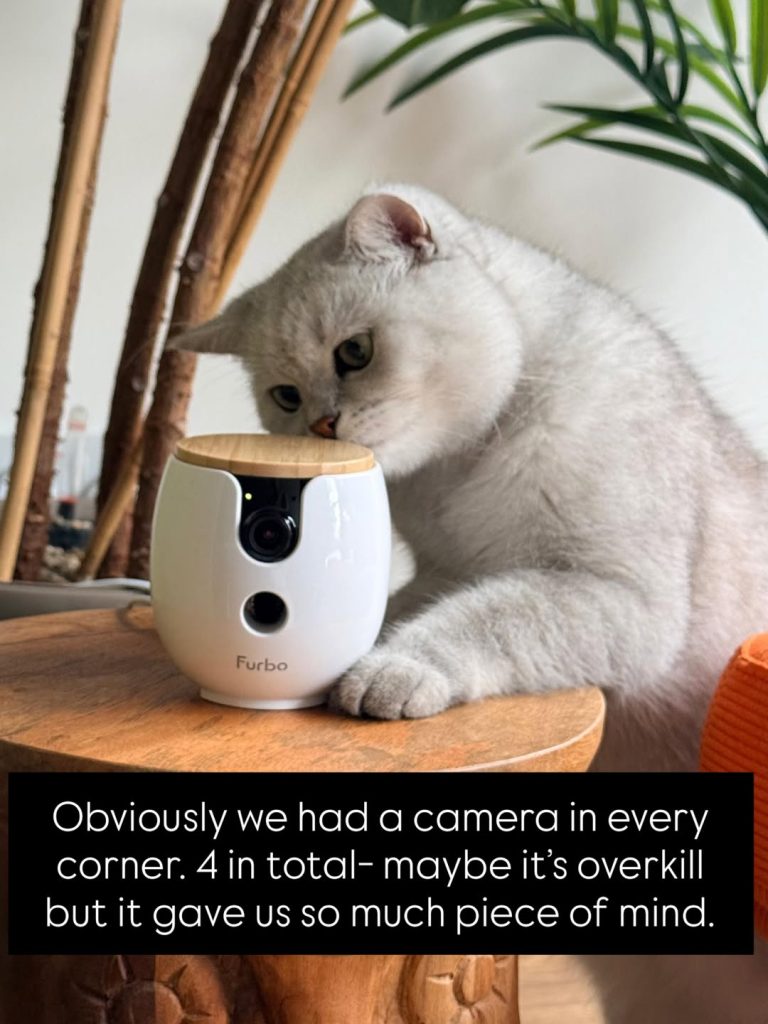 A silver-shaded British Shorthair cat sitting on a wooden stool, leaning forward to sniff and inspect a white Furbo pet camera with a wooden lid. A black text block overlay at the bottom reads: "Obviously we had a camera in every corner. 4 in total- maybe it’s overkill but it gave us so much piece of mind."