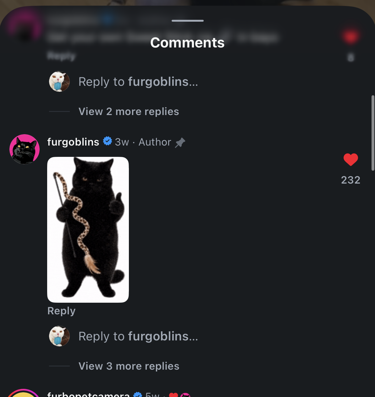 Example of a Purrcival GIF used in Instagram comments