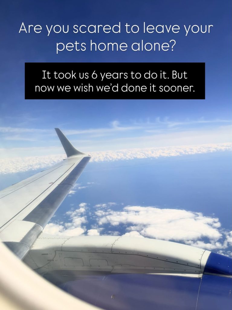 A view looking out of an airplane window showing the wing and engine against a bright blue sky with white clouds below. Text at the top reads: "Are you scared to leave your pets home alone?" with a black text block below it that reads: "It took us 6 years to do it. But now we wish we’d done it sooner."