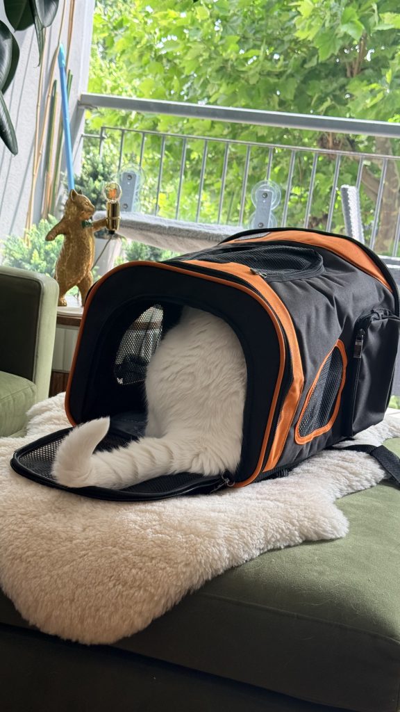 Lyle cat is seen from the rear, crawling inside an orange and black pet carrier, with only its tail visible resting on the open mesh flap.