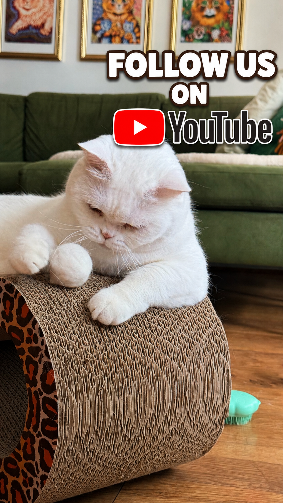YouTube