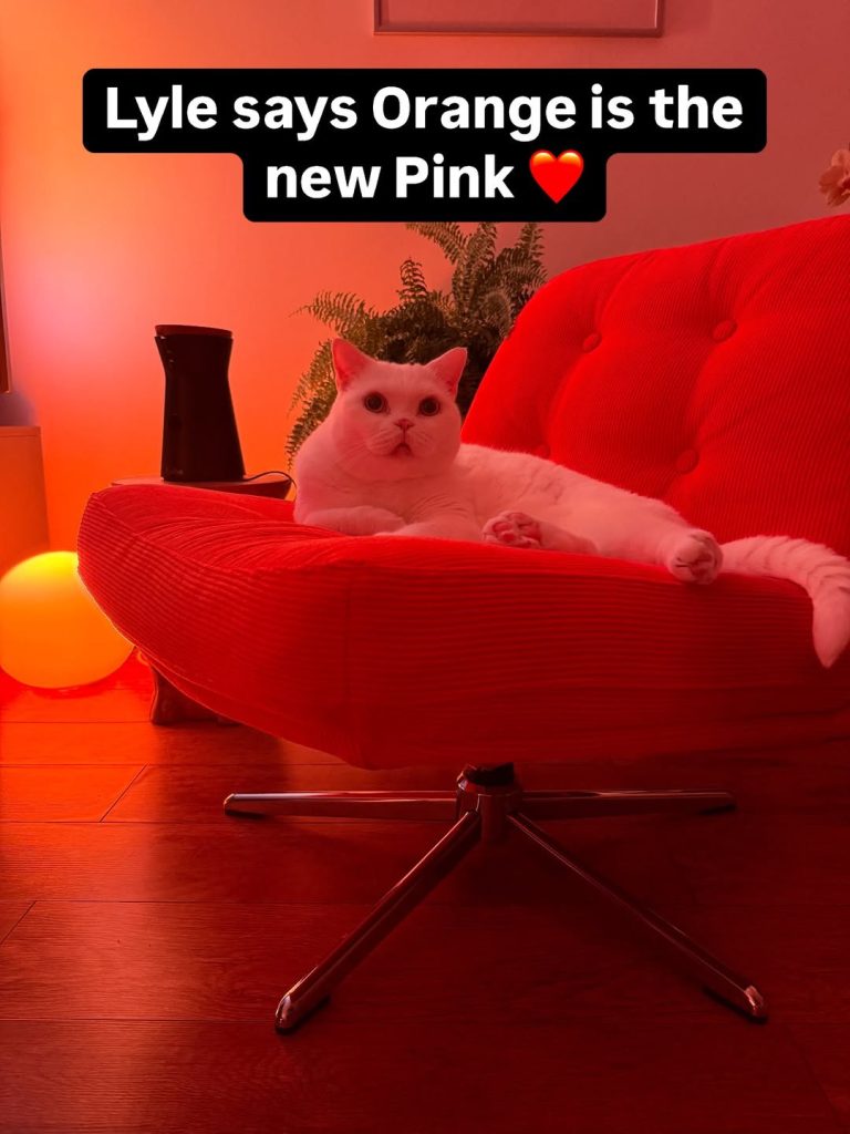 A white British Shorthair cat named Lyle lounging on an orange IKEA swivel chair illuminated by warm red ambient smart lighting.