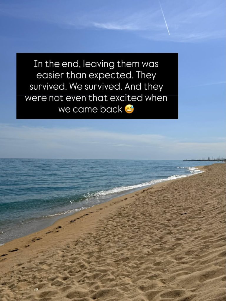 A wide shot of a sandy beach meeting a calm blue sea under a clear sky on a sunny day. A large black text block overlay reads: "In the end, leaving them was easier than expected. They survived. We survived. And they were not even that excited when we came back 😅".