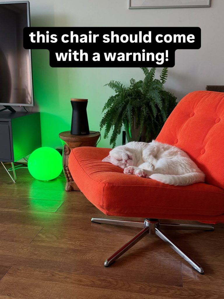 A white British Shorthair cat curled up sleeping on a bright orange corduroy IKEA swivel chair next to a glowing green orb light.