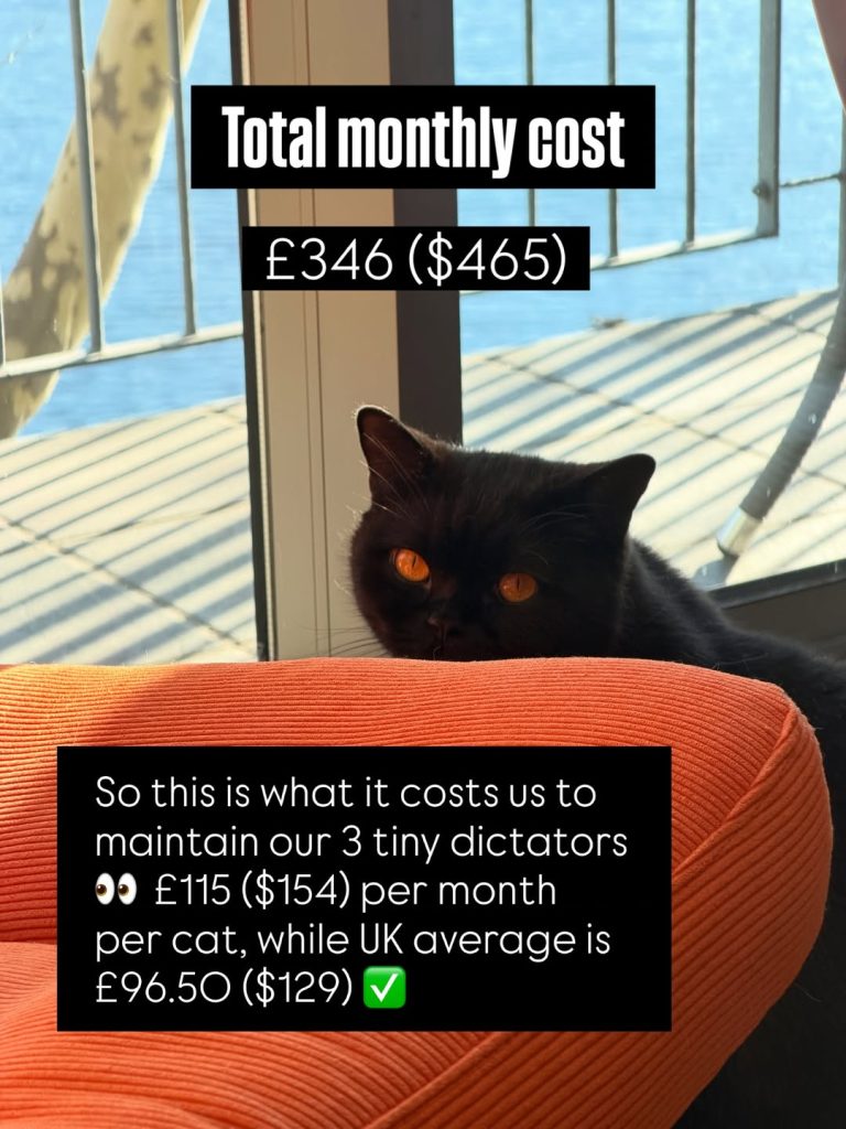 A black British Shorthair cat with bright orange eyes peeks out from behind an orange cushion, with text overlays showing the total monthly cost of £346 ($465) and comparing their average to the UK baseline.