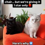 Two British Shorthair cats sitting on the viral orange IKEA chair looking upset with a 1-star review text overlay.