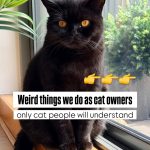 A solid black British Shorthair cat with bright orange eyes sitting calmly on a wooden window sill next to a green plant. A black text block overlay reads: "Weird things we do as cat owners only cat people will understand" with three pointing finger emojis.