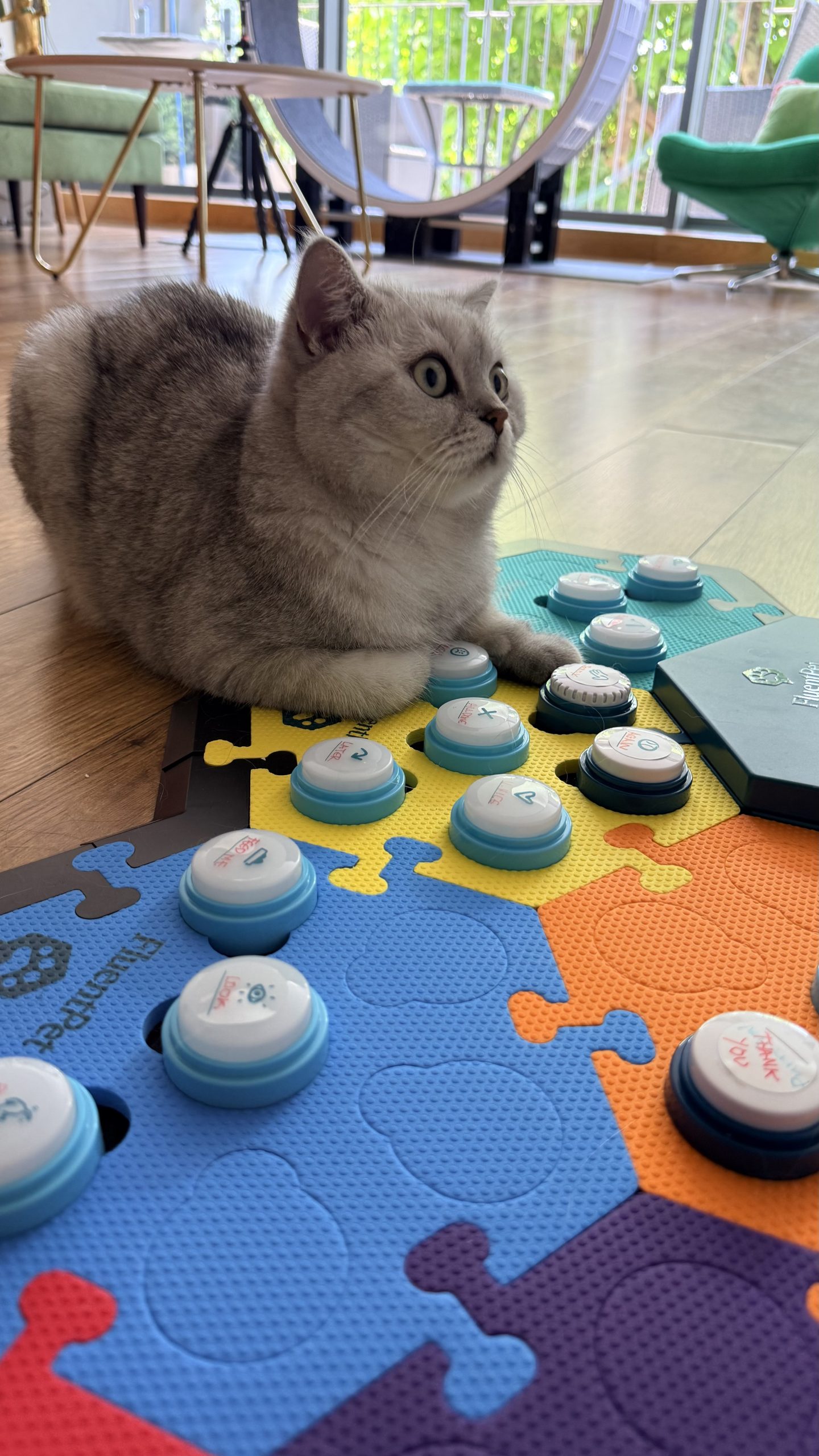 Munchie Rabbitovitz inspecting Lyle's learning buttons