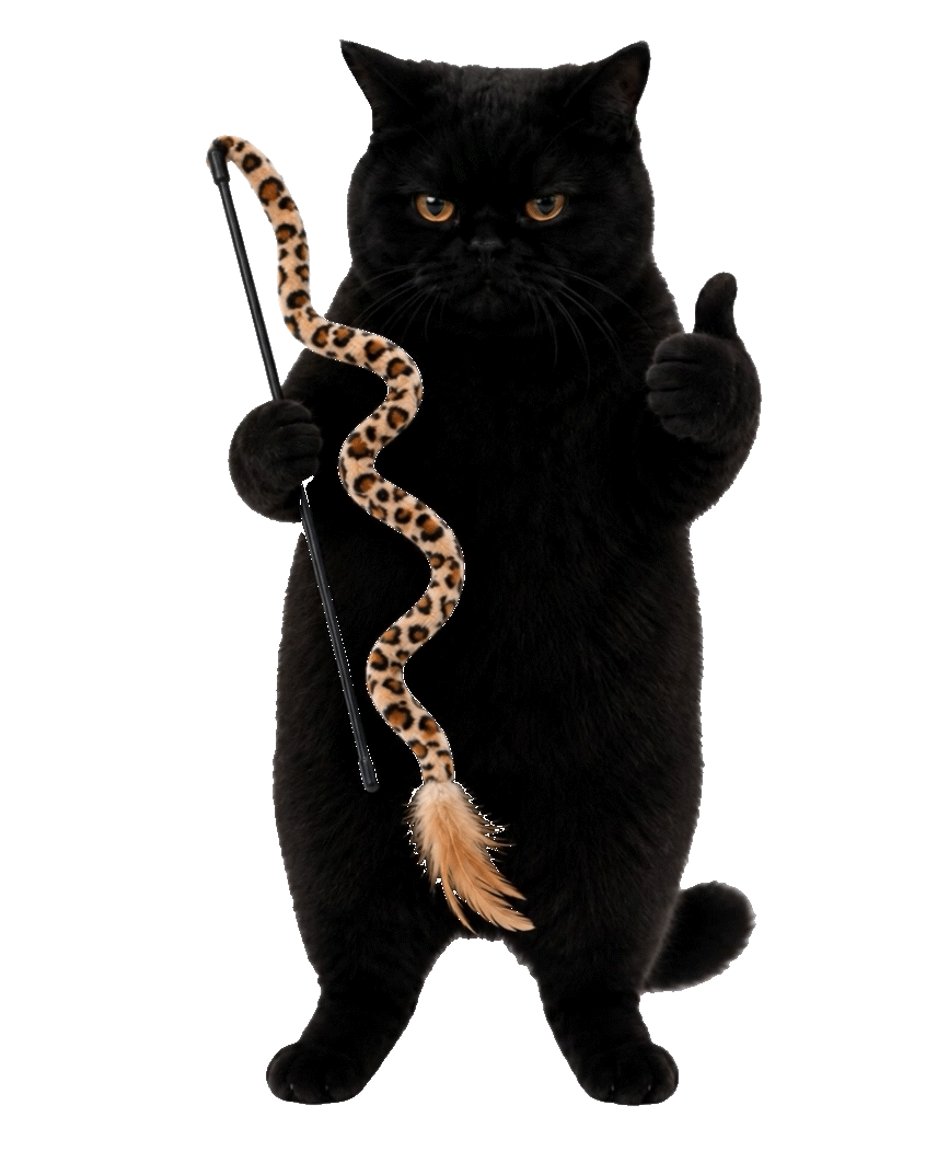 Purrcival holding a leopard print cat wand